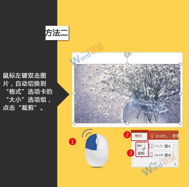 香菜汁无码精品日韩中文字幕，揭秘绿色奇迹的健康力量与美食之旅