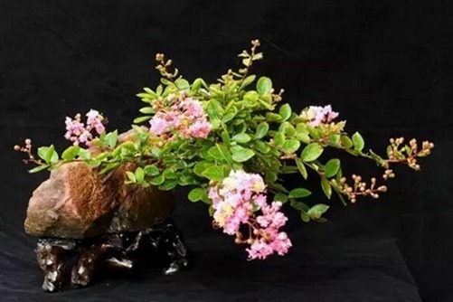 猪鬃梳——日欧精品卡2卡3卡4卡5卡l，传统工艺的优雅传承与现代生活的时尚碰撞