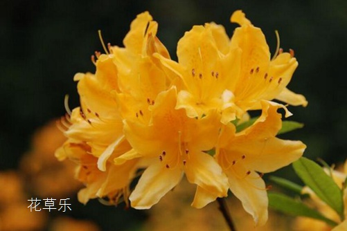 EM5MARKII镜头国产毛片av一区二区三区，解锁摄影艺术的无限可能